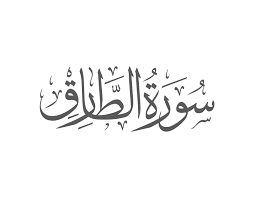 Surah Tariq with Urdu Translation