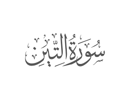Surah Teen with Urdu Translation